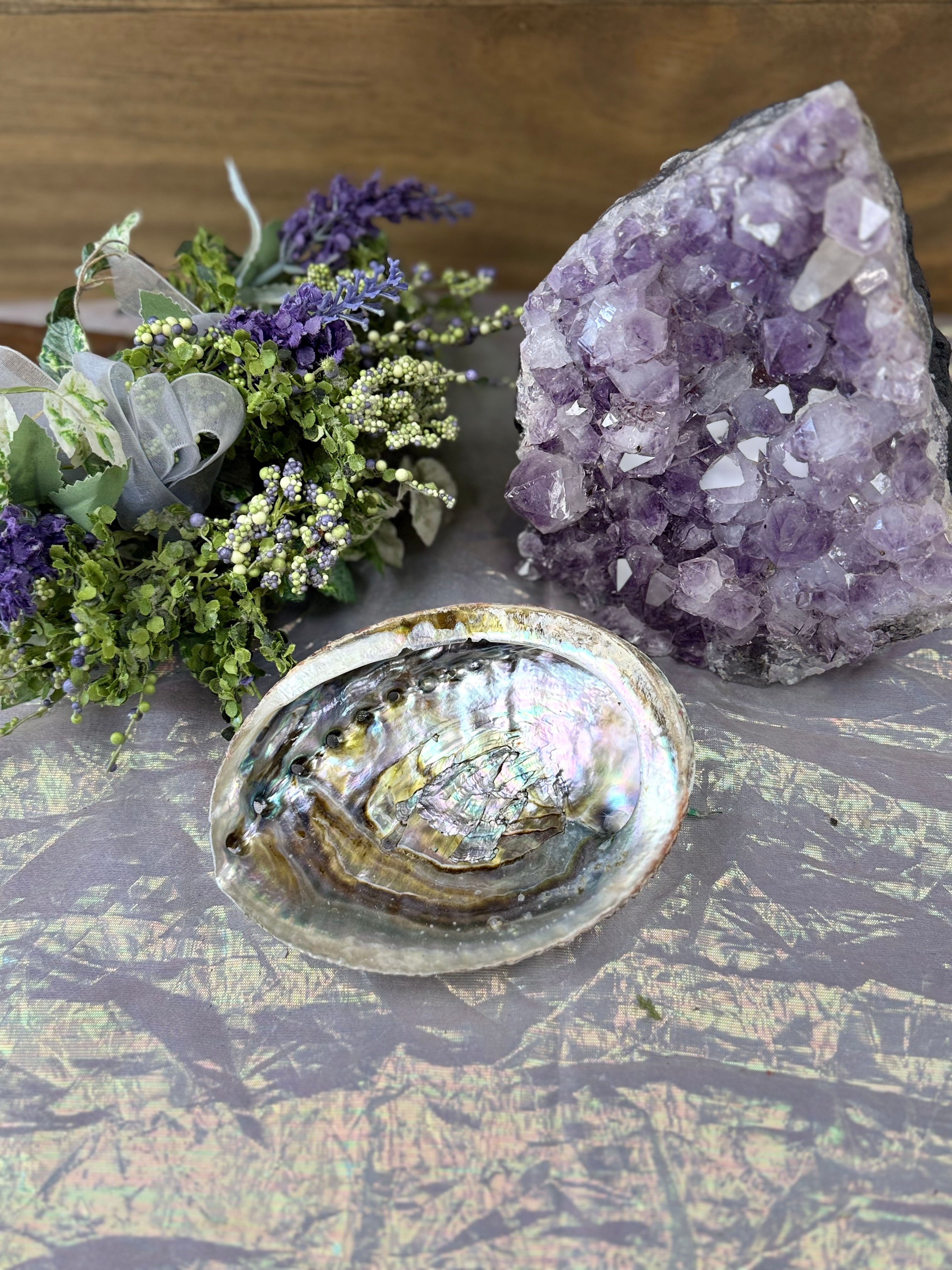 Abalone Shell