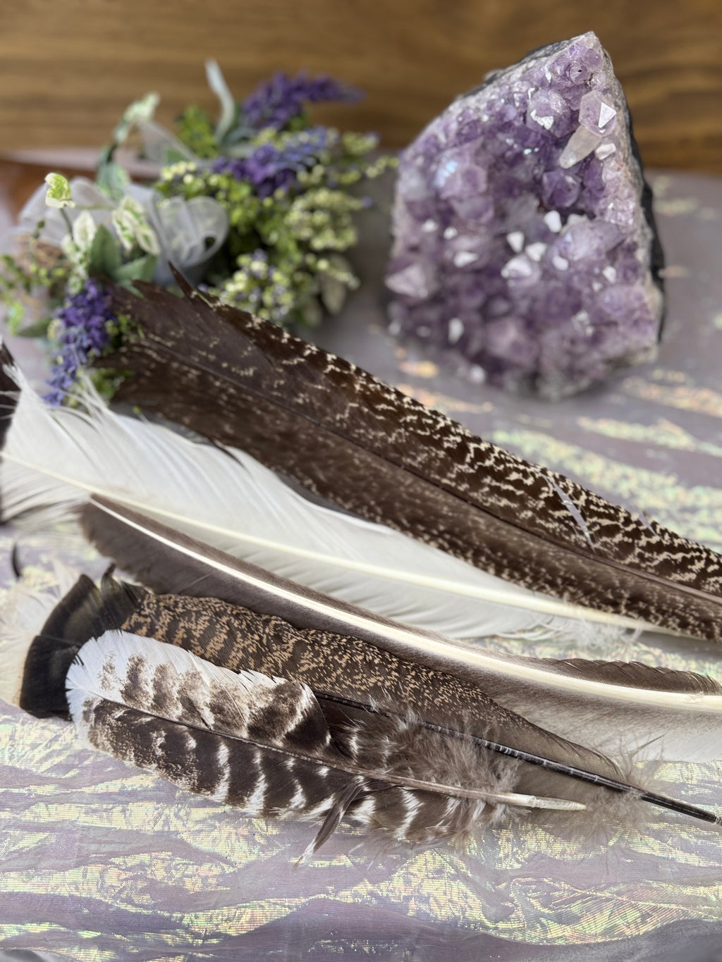 Assorted Smudge Fan Feathers