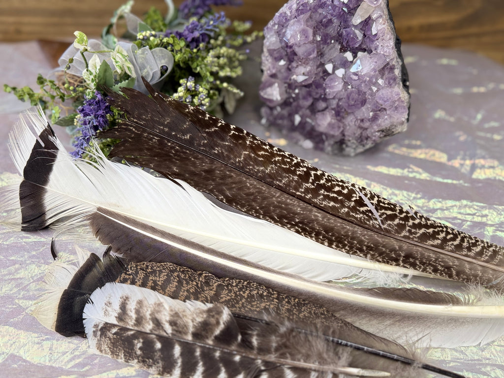 Assorted Smudge Fan Feathers